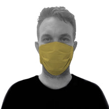 Load image into Gallery viewer, Face Mask 2-Ply Reusable Water Repellant Non-Woven Fabric