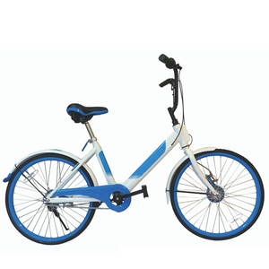 Anti Flat Tire 24” Bicycle Bike